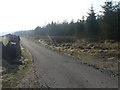 Llanwonno: road alongside forest