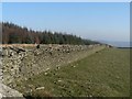 Llanwonno: well maintained wall