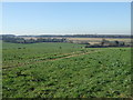 View to Singledge Lane