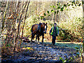 Valley Park - Logging the Old Fashion Way