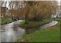 River Churn, Cirencester