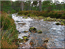 NO4693 : Water of Allachy, Glen Tanar by Alan Findlay