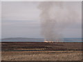 NY7360 : Heather burning on Plenmeller Common by Mike Quinn