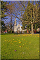 Library Green with Trinity Church, Enfield