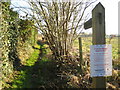 Willey Green: Footpath to Bailes Lane with FMD notice