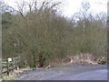 Trackbed of the former Hexham to Allendale railway line