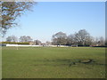 Sports facilities at Love Lane