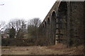 Viaduct at Cleland