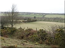  : Penpont Water valley by Derek Harper