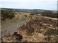 Heathland, Laneast Downs