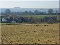 South Farm, Chiseldon