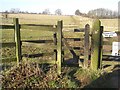 "Kissing Gate" Stile