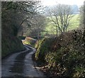 Lane below Smallridge