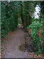 Footpath to Whydown