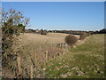 Looking N from the Deal Road towards Northbourne