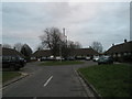 Traffic island in Linden Way