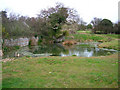 Pond, Barnhorne Manor Farm