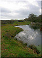 Pond, Barnhorne Manor Farm