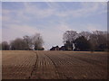 Barton Stacey -  Freshly Ploughed Field