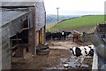 Farm Yard at Park Nook