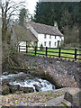 SO5200 : Dilapidated cottage by the Angiddy stream, Tintern by Pauline E