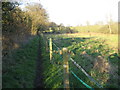 Wood Street Village: Footpath to Littlefield Manor