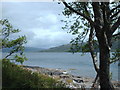 NM6962 : Loch Sunart by Lynn M Reid