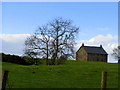 Field, Windmill Road near Donaghadee