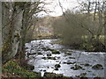 The River East Allen near Kittygreen