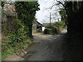 Looking NE along Chapel Lane