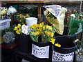 Local daffs