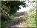SU5024 : Monarch's Way long distance path, near Morestead by Brian Robert Marshall