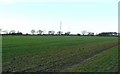 Farmland and pylons near Nursted