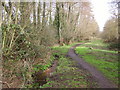 Royal Oak Valley stream and footpath