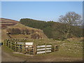 Sheepfold at Heatheryburn