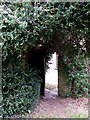 Gateway  from the Secret Garden