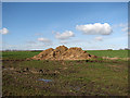 Muck heap in field