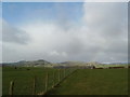 Countryside near Terregles