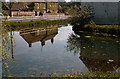 The River Ebble at Coombe Bissett (2)