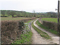 Farm entrance, SW of Lyne Down