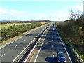 A92 looking east