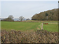 Arable land and woodland edge