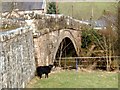 Billy Goat Gruff at Tynron Bridge