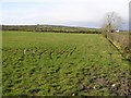 Tullymain Townland