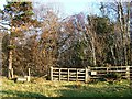 Brothybeck Wood, gate on west side