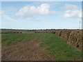 Fields near Tobarn and Wainhouse Corner