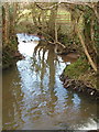 Stream flowing to the Atlantic