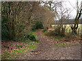 Northern end of Cumbers Lane at Borden