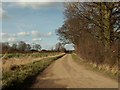 A view of Chippetts Lane from Chippetts Farm