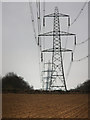 Pylons north of Chithurst